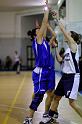 Basket 242008